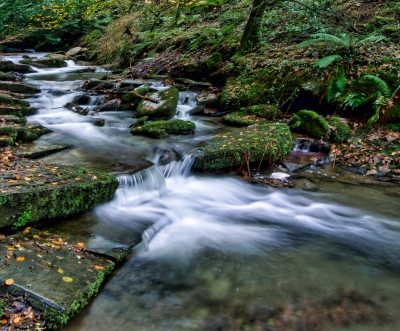 Approaching St Nectans Glen.jpg
