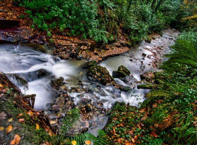 Down the Waterfall.jpg