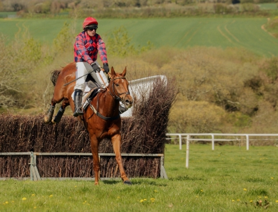 A Pull on the Reins.jpg