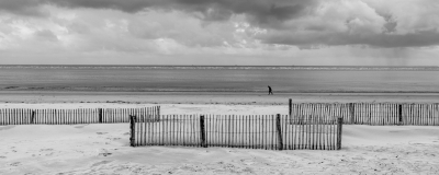 Coastal Beach Defences.jpg