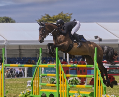 Jumping the Combination Fence.jpg