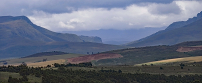 Evening Landscape.jpg