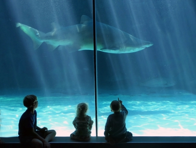 It's a Damien Hurst.jpg