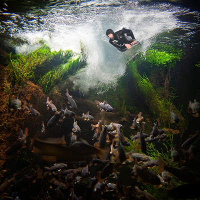 Fish Tank Bodyboarder.jpg