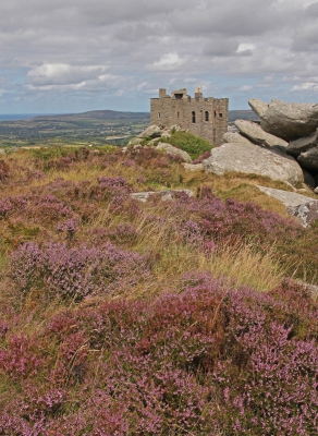 Heather at Carn Brea.jpg