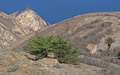 Madeiran Landscape.jpg