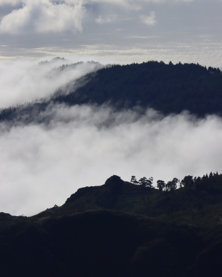 View from Pico do Ariero.jpg