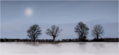 Winter Sun.jpg