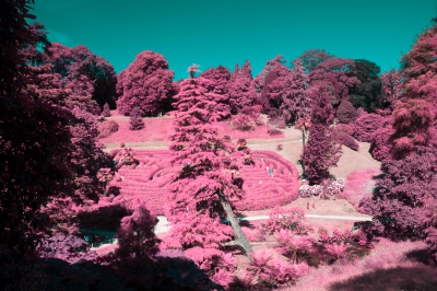 Glendurgan Garden in Infra Red.jpg